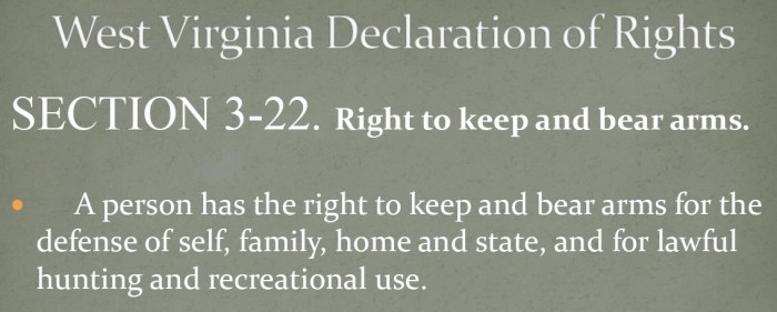 14.WVRightToBearArms